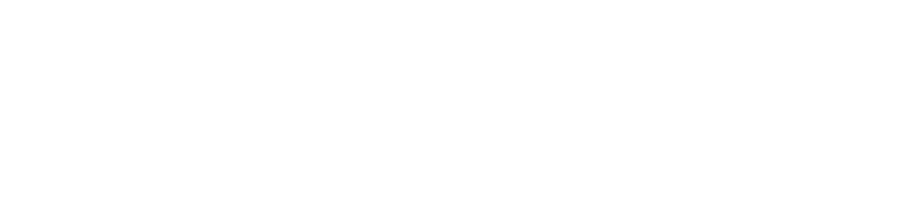 High-End Tint & Ceramic 